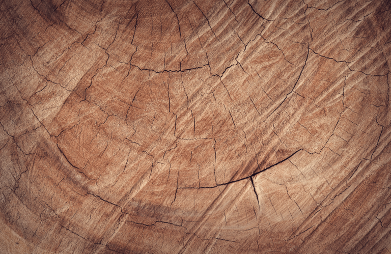 Holz bg 1