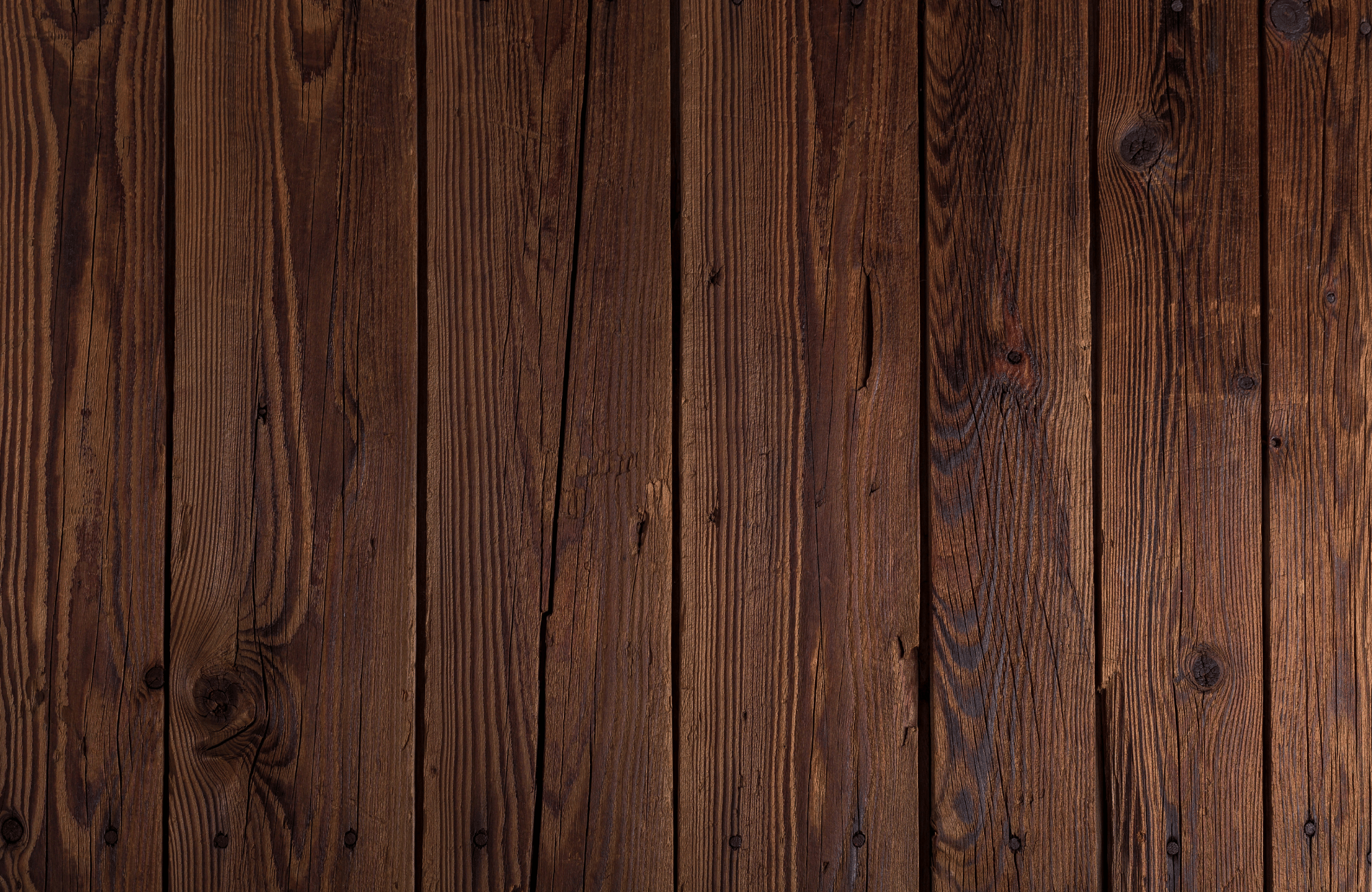 holz bg 2